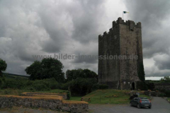 Castle-O´Dea-23.07.2013_001