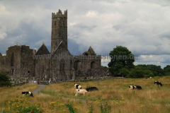 Quin-Abbey-26.07.2013_040