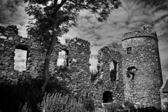 Pitsligo-Castle-13.07.2016_007-SW