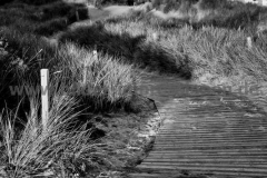 Spiekeroog-12.10.2015_035-SW