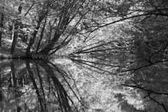 Wilhelmstal-31.05.2014_002