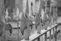 Burrishoole-Abbey-08.08.2013_011