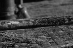 Friedhof-Gairloch-22.07.2014_07