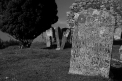 Friedhof-an-8083-10.07.2014_006