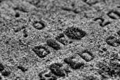 Saddell-Abbey-13.07.2015_026-SW