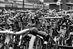 Den-Helder-18.05.2013_03-SW