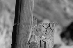 Mirador-de-los-Andenes_025