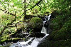 Landschaft - Irland