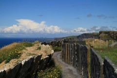 Cliffs-of-Moher-25.07.2013_054
