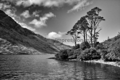 Doo-Lough-04.08.2013_020-SW
