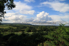 Dysert-O´Dea-23.07.2013_066