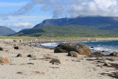 Strand-Corrownisky-04.08.2013_092