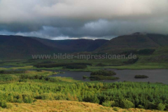 Tawnyard-Loch-08.08.2013_034
