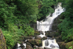 Torc-Wasserfall-02.08.2013_002