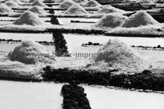 Faro-de-Fuencaliente-Saline_039