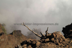 Mirador-de-los-Andenes_015