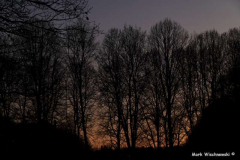 Abendlicht_04