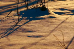Lennep-10.01.2009_08