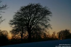 Lennep-10.01.2009_15