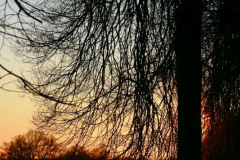 Lennep-10.01.2009_17