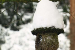 Lennep-19.12.2010_36