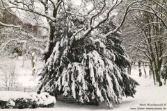 Lennep-19.12.2010_37