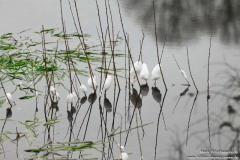 Lennep-19.12.2010_42