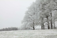 Schwelmer-Str.-02.02.2011_04