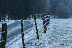 Schwelmer-Str.-02.02.2011_39