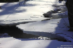 Uelfetal-11.02.2012-Mark_022