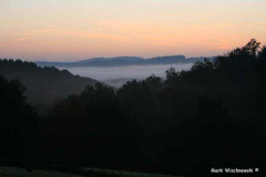 Waldbilder_08