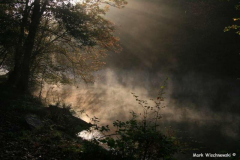 Waldbilder_43
