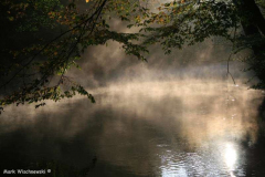 Waldbilder_52