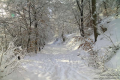 Wilhelmstal-30.01.2010_03