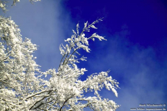 Wilhelmstal-30.01.2010_07