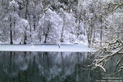 Wilhelmstal-30.01.2010_21