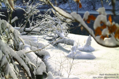 Wilhelmstal-30.01.2010_25