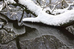Wilhelmstal-30.01.2010_32