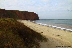 Helgoland-19.10.2009_004