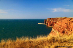 Helgoland-20.10.2009_060