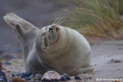Helgoland-23.10.2009_022