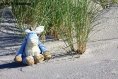 Juist-17.10.2010_36