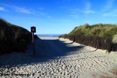 Juist-17.10.2010_58