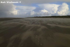 Juist-19.10.2010_15