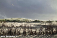 Juist-20.10.2010_15