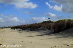 Juist-20.10.2010_18