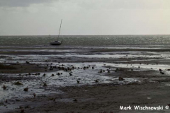 Juist-20.10.2010_36