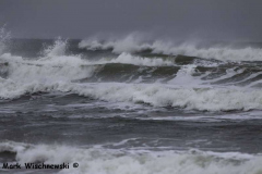 Juist-23.10.2010_47