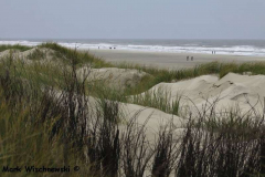 Juist-23.10.2010_83
