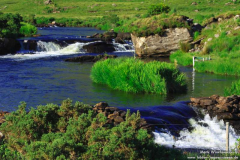 Bundorragha-River-04.08.2013_004
